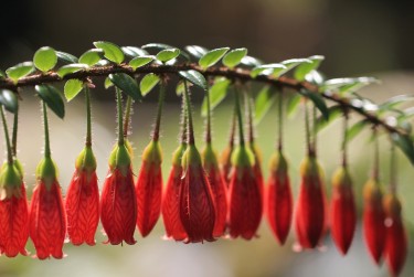 深圳罗湖区1私人快速借钱网，轻松解决资金难题