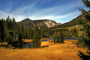 深圳罗湖区1民间私贷攻略：揭秘低成本借贷的秘密