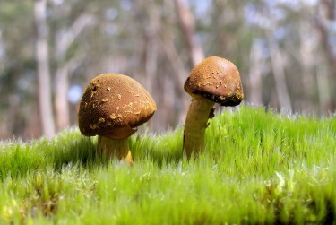 深圳罗湖区1私人老板放款：轻松融资的秘密通道